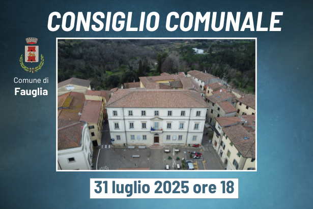 Il Comune di Fauglia in una foto scattata dal drone