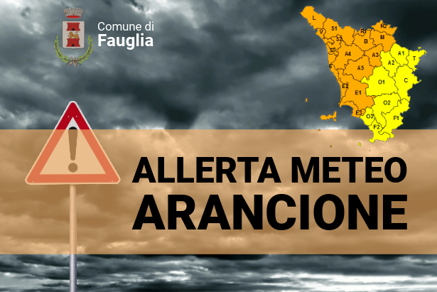 La grafica relativa all'allerta meteo