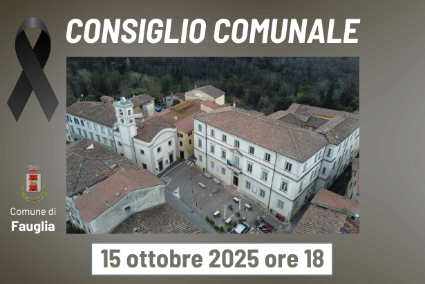Il palazzo comunale dall'alto e la grafica con il simbolo del lutto Il palazzo comunale dall'alto e la grafica con il simbolo del lutto