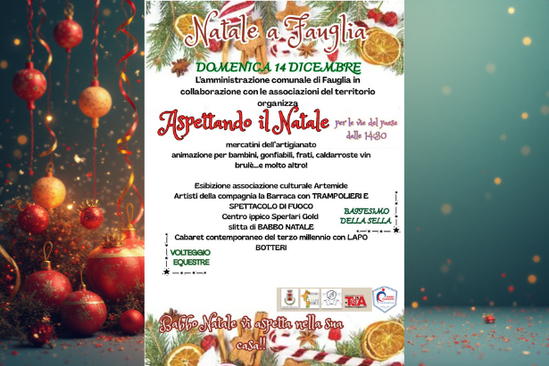 La grafica relativa alla festa natalizia del 14 dicembre