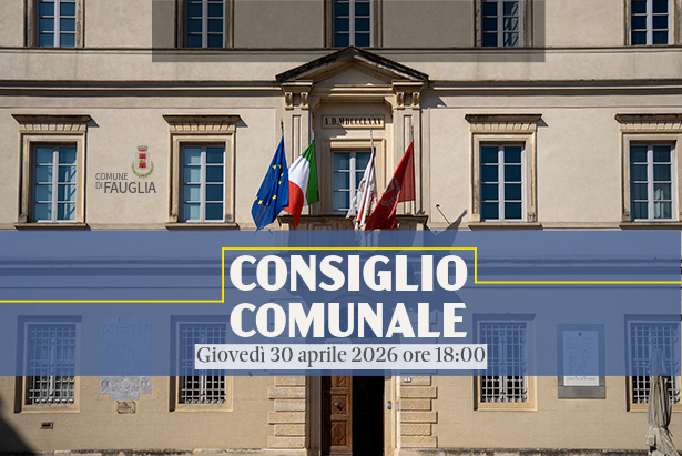 La grafica di convocazione del Consiglio Comunale
