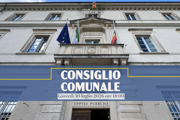 La grafica di convocazione del Consiglio Comunale