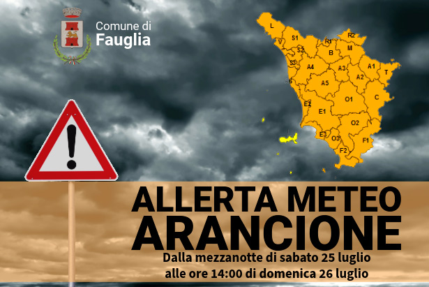 La grafica mostra che, isole escluse, l'allerta arancione è estesa sull'intero territorio regionale