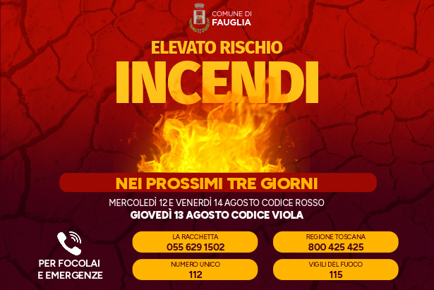 La grafica con i numeri da chiamare in caso di emergenza