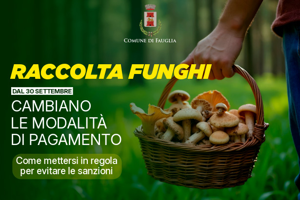 La grafica con cui si riassumono le nuove modalità di pagamento per i cercatori di funghi