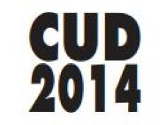 Supporto del servizio online CUD 2013